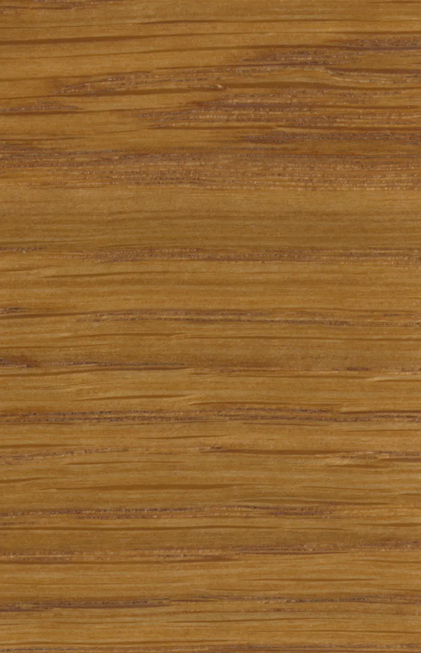 Teak 23-351